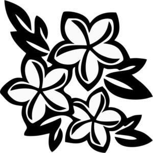 Jasmin Flowers