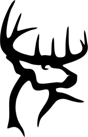 Stag Dear