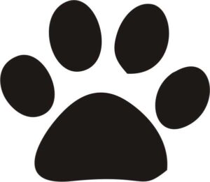 Paw Print