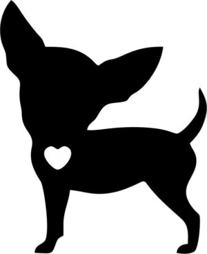 Chihuahua Love