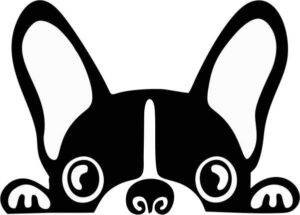 Black and white vinyl sticker of a French Bulldog playfully peeking over an edge with large ears and curious eyes.