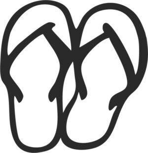 Flip Flops