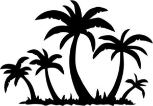 Palm Trees