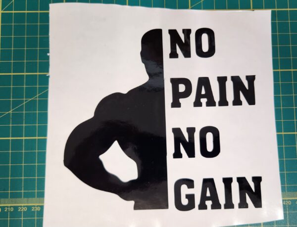 No Pain No Gain - Image 2