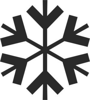 Snowflake #2