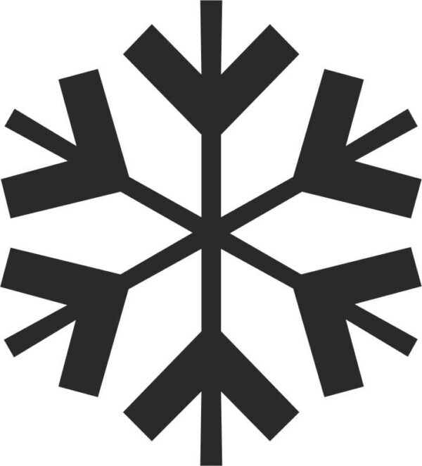 Snowflake #2