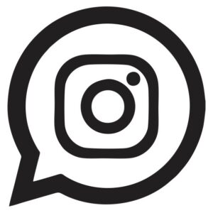 Insta Social Media Icon