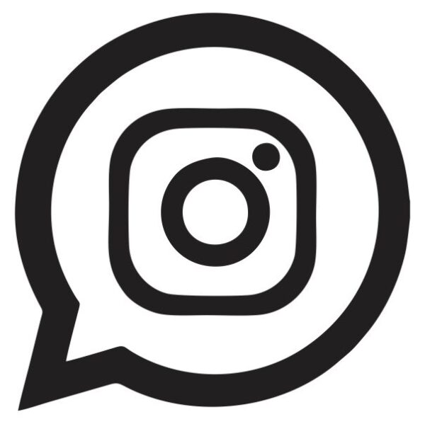 Insta Social Media Icon