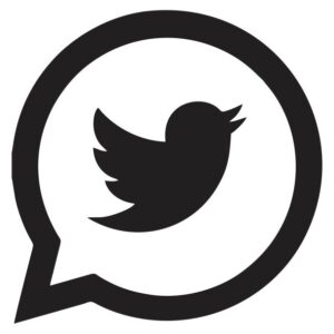 Twitter / X Icon