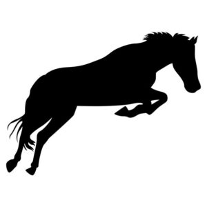 Jumping Horse