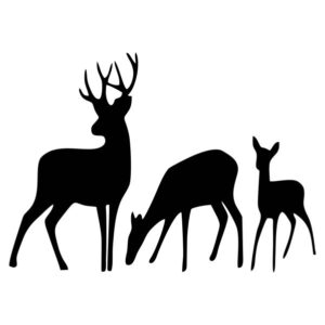 3 Dear Black Vinyl Sticker