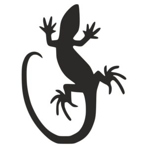 Lizard