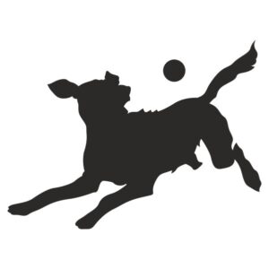 Dog and Ball