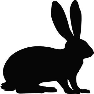 Rabbit Silhouette