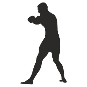 Boxing Silhouette