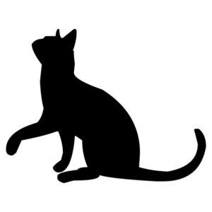 Cat Silhouette #5
