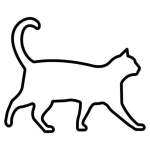 Cat Outline